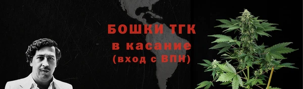 не бодяженный Надым