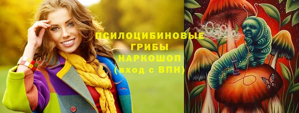не бодяженный Надым