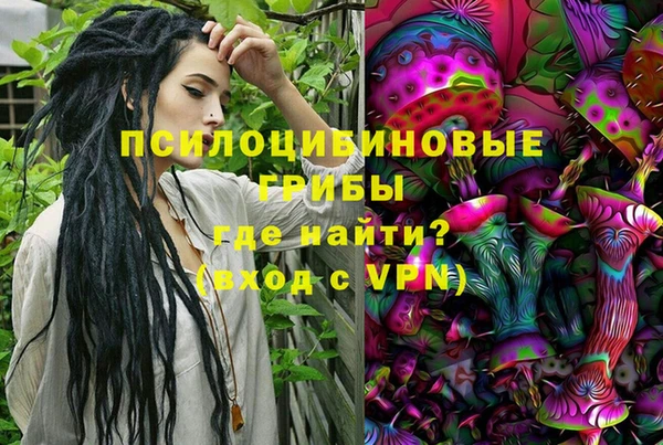 PSILOCYBIN Алагир